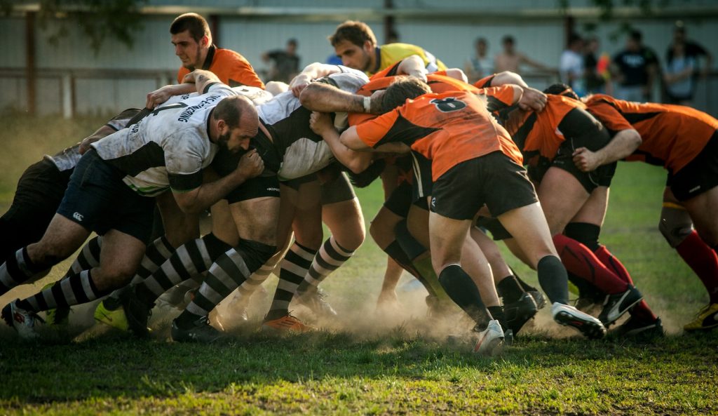 proteines rugby